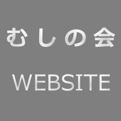 SAMPLE WEBSITE